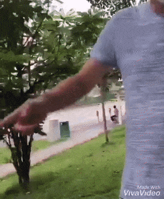 12岁少年在公园骑脚车，突然被路人扇巴掌