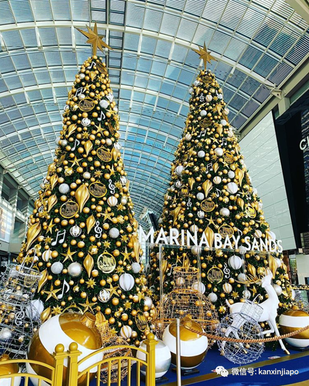 2020年最後一個公共假日,新加坡全島亮起來