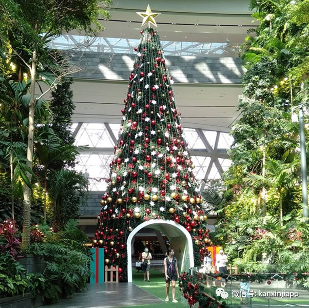 2020年最後一個公共假日,新加坡全島亮起來