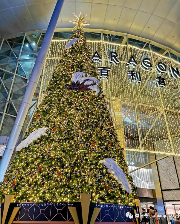 2020年最後一個公共假日,新加坡全島亮起來