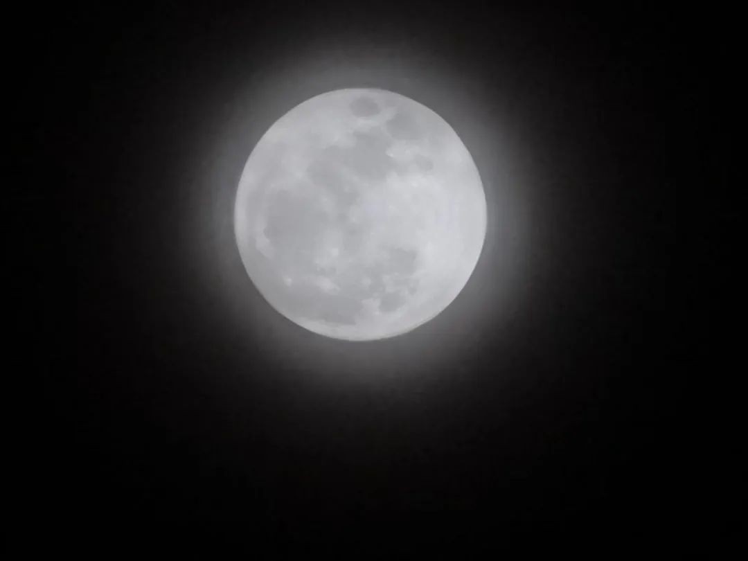 李显龙问你看见蓝月亮了吗？全球网民回复了超美照片