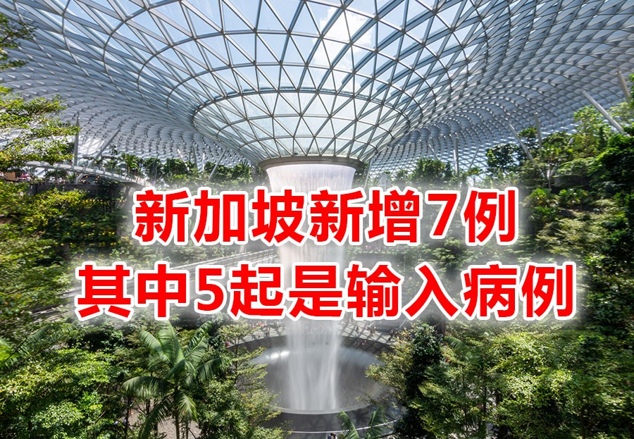 今增7 | 进中国更难了!新加坡终于实锤