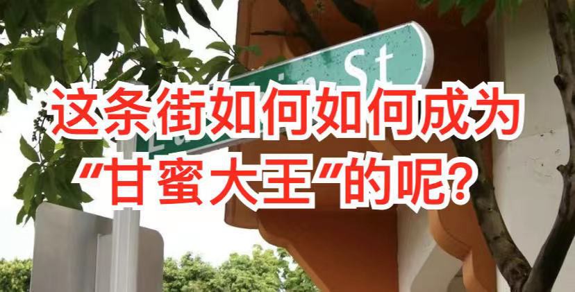 有进街,新加坡这条路,你一定走过