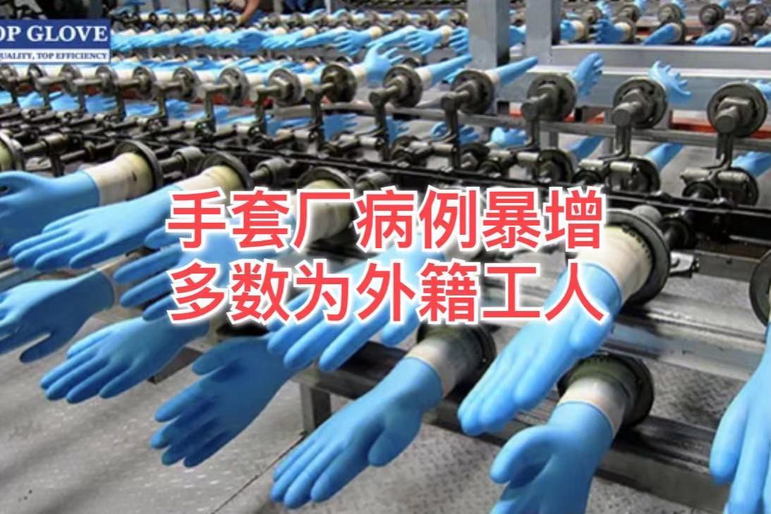全球最大医用手套企业外劳病例激增,28工厂分阶段停工检测