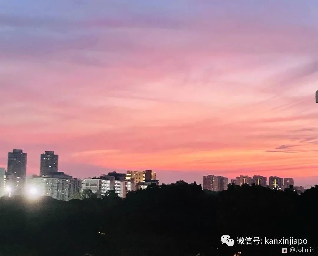 昨天傍晚新加坡出现粉色天空，大波美图刷遍全网