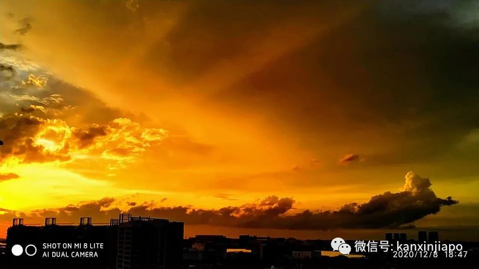 昨天傍晚新加坡出现粉色天空，大波美图刷遍全网