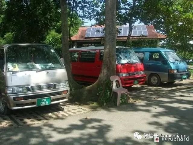 新加坡车牌颜色这么多，你认识几个？