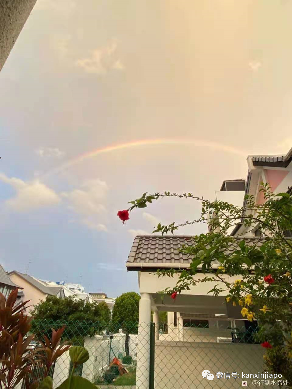 新加坡佳節祥瑞雙彩虹！從副總理到外長，全島都在拍照