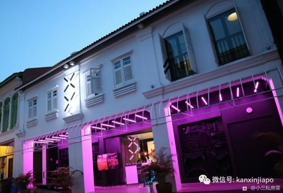 新加坡导演和明星联手,呈现的创意料理