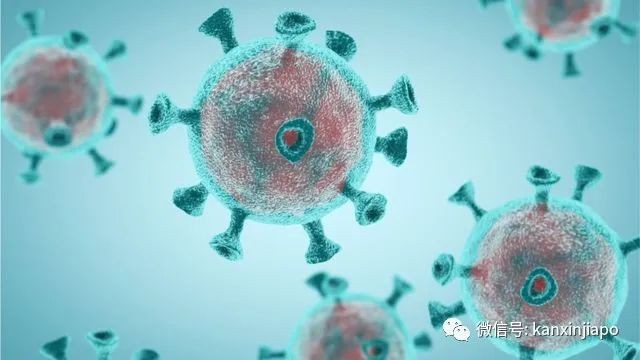 今增10 | 倫敦驚現傳染性強70%的變異病毒！新加坡上周多起英國輸入病例
