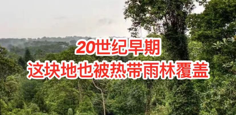 探秘诺曼顿园这块风水宝地,七年间价格竟翻了四倍