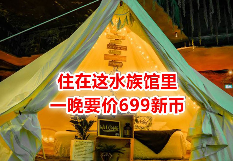 699新币野生动物陪你入眠,新加坡人是有多喜欢扎营