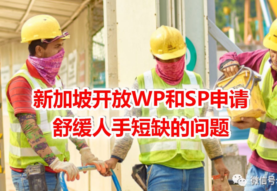 新加坡松动WP和SP准证申请