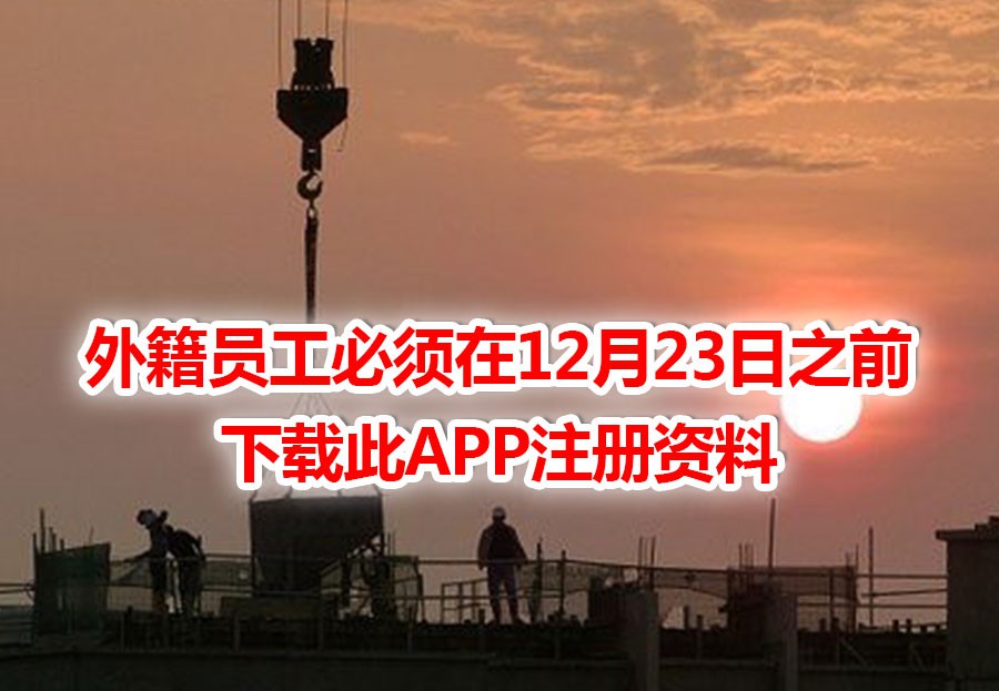 今增19 | 最后期限!外籍员工再不下载这APP注册资料,或被吊销工作准证