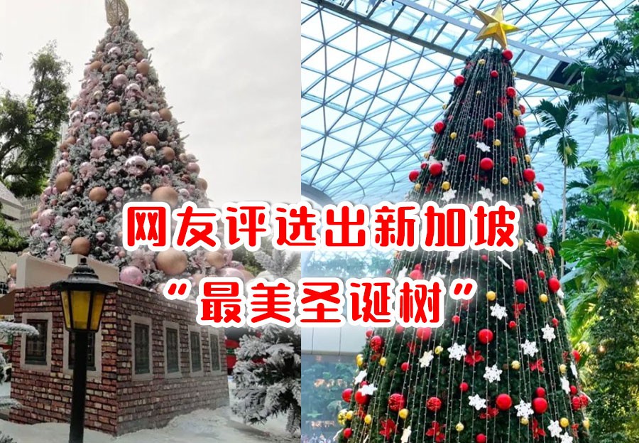 ~*MERRY CHRISTMAS*~