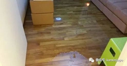 组屋漏水找政府就对了！但这几种属个人责任……