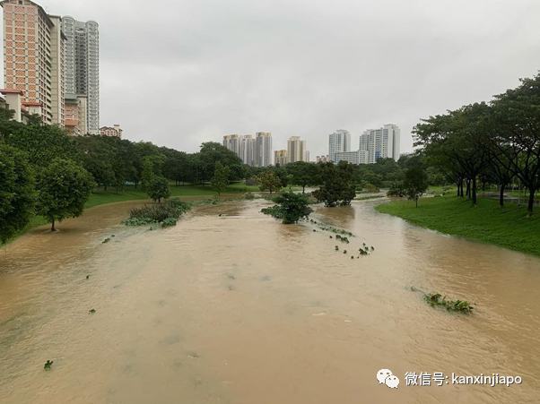晴天大草原，暴雨成黄河！一场豪雨秒懂新加坡排水系统