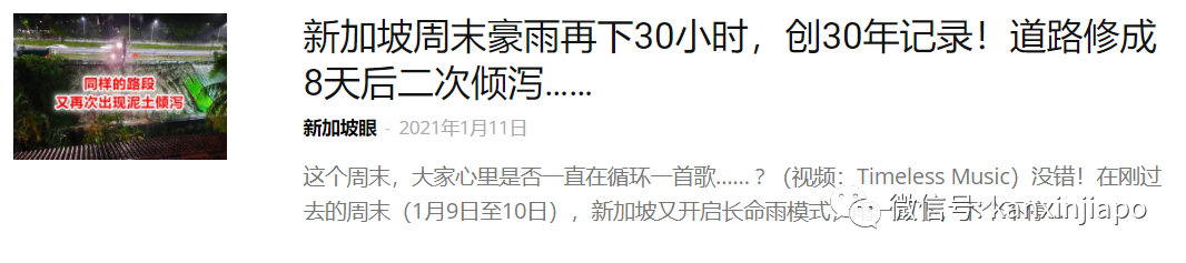 坡岛鸟儿花式秀恩爱，一起干了这碗狗粮