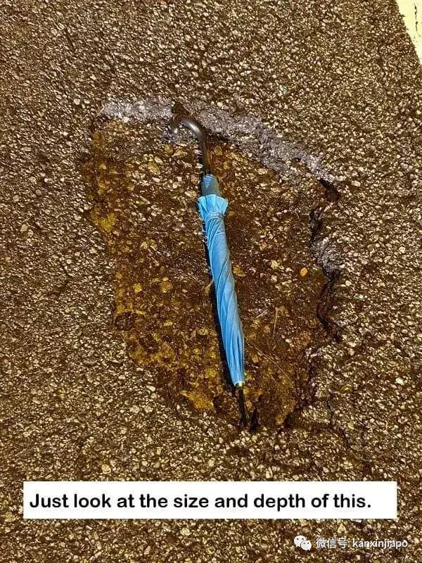 坑坑洞洞的坡島大道,車程無疑就是一場過山車