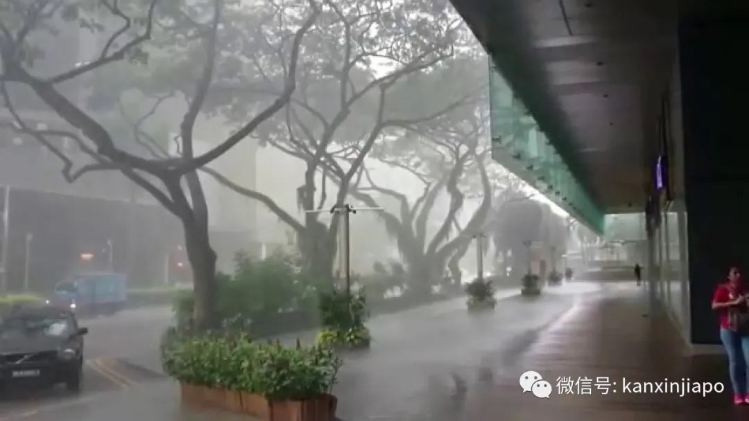 组屋漏水找政府就对了！但这几种属个人责任……