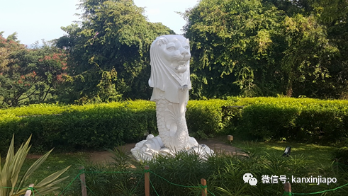 想看鱼尾狮就到坡岛其他5处，因为本尊明天起遮盖洗澎澎咯~
