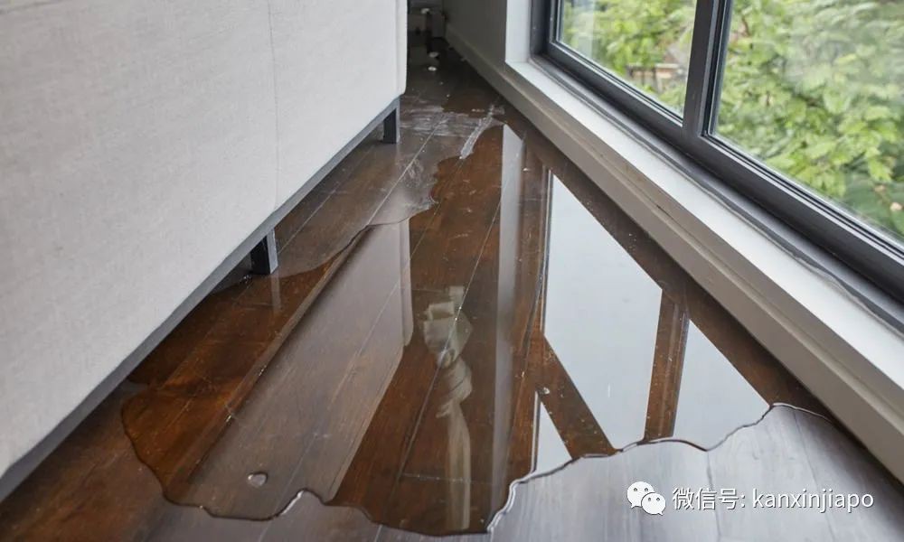 组屋漏水找政府就对了！但这几种属个人责任……