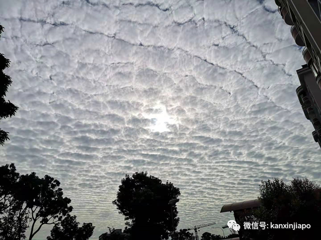 “地震雲”昨早刷爆朋友圈！很少看過這麽“怪異”的朝陽……