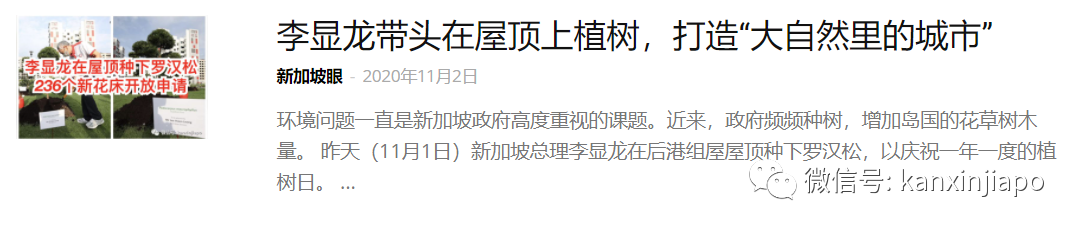 坡岛鸟儿花式秀恩爱，一起干了这碗狗粮