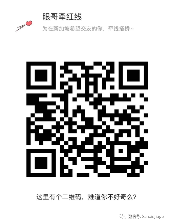坡岛鸟儿花式秀恩爱，一起干了这碗狗粮
