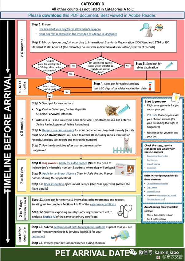 【攻略】人坐客艙、貓坐貨艙,同架班機從中國入境新加坡