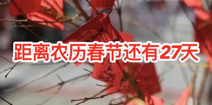 春节期间 “非必要、非紧急、不旅行”!中国驻新加坡大使馆发话了