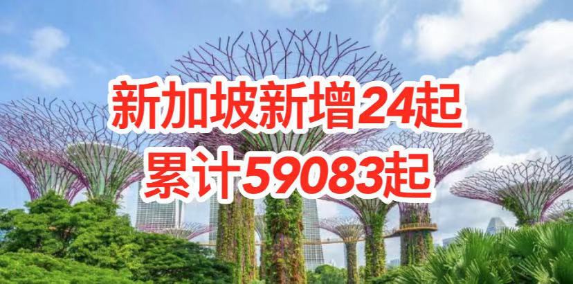 今增24,本土5 | 新加坡童军总部男职员确诊;WHO预测2021疫情更严峻