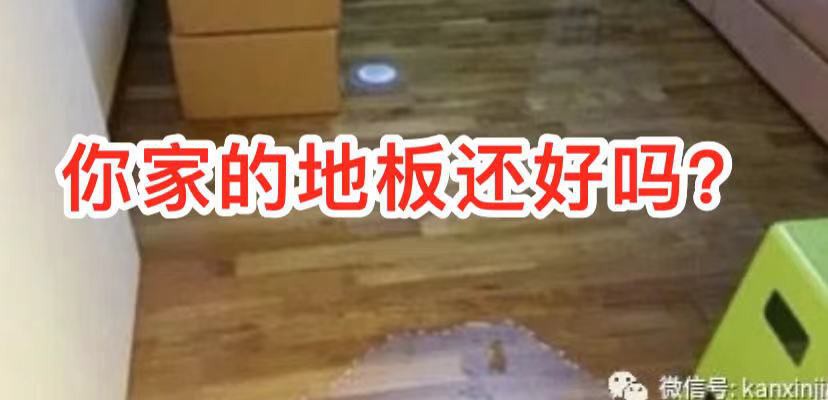 组屋漏水找政府就对了!但这几种属个人责任……