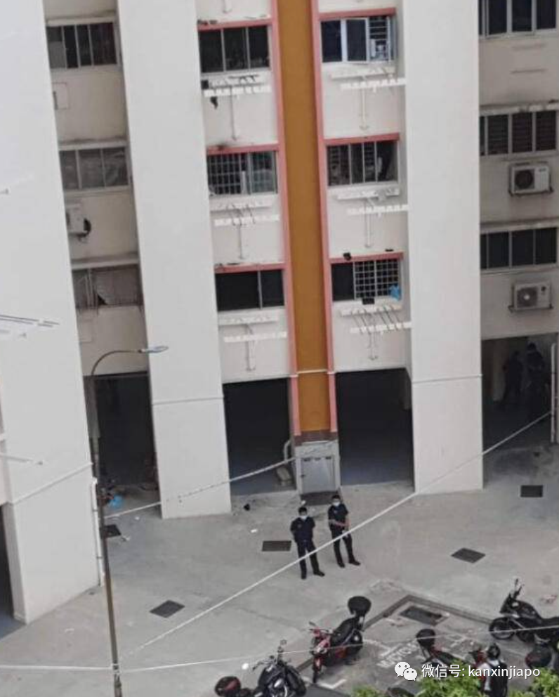 新加坡幼儿园园长遭前夫刺死，外婆白发送黑发抚养三个外孙