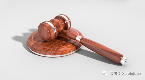拿到新加坡永久居留权却逃兵役，24岁泳将被判入狱
