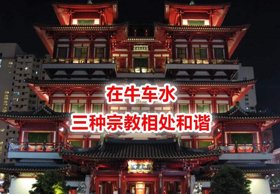 “我们很少注意到牛车水的一个异象,一种别样风情”