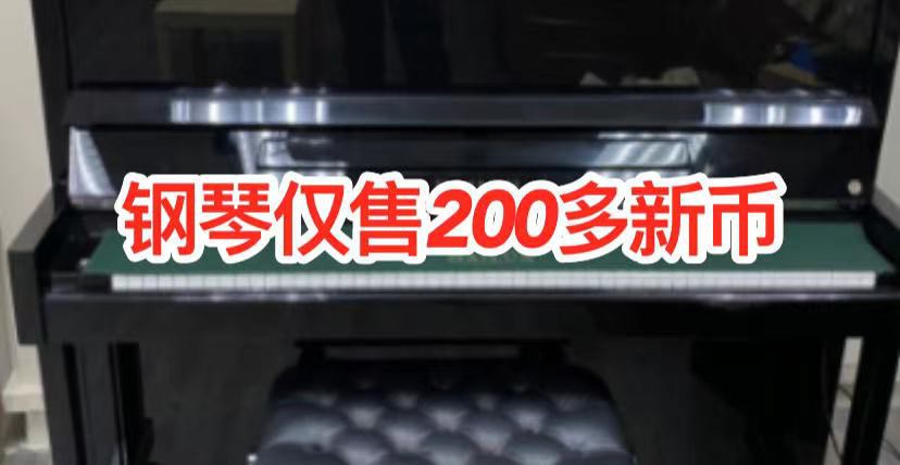 白菜价开抢~二手名牌钢琴、小提琴等各类乐器低至30新币
