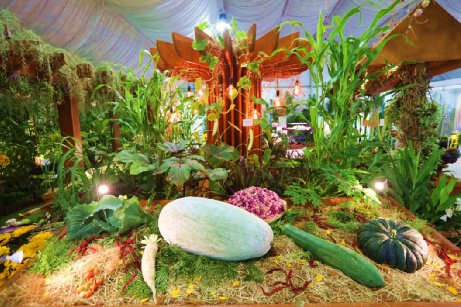 新加坡政府免费发各种蔬菜种子，举办种植大赛，奖励高达400新币