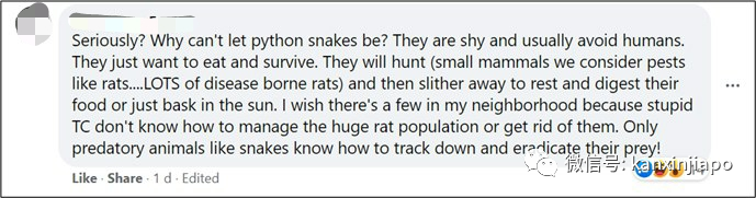 大蟒蛇吃太饱？在新加坡组屋区吐出一只完整死老鼠