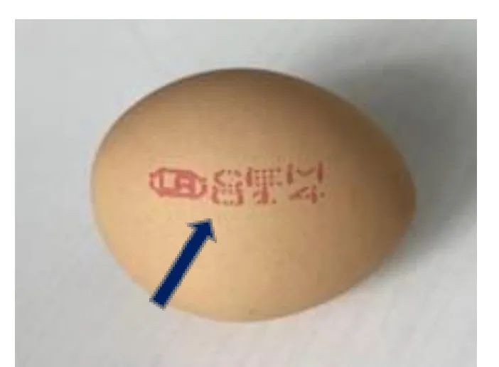 新加坡進口雞蛋又查出腸炎沙門氏菌,四個熱銷品牌曾售賣