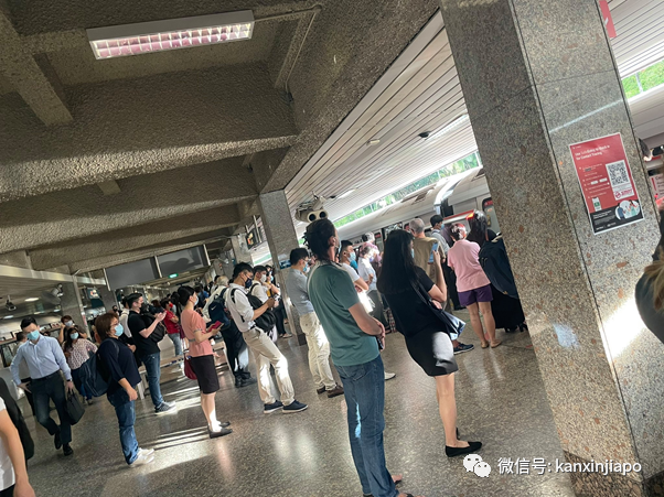 新加坡地铁早高峰又出故障了!昨天紫线,今天红线