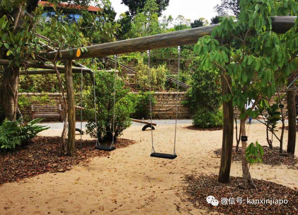 新加坡又出新网红亲子景点，这么大的菠萝蜜你合影了吗