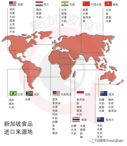 46000吨台湾凤梨被中国大陆拒之门外！其中25吨下周运抵新加坡