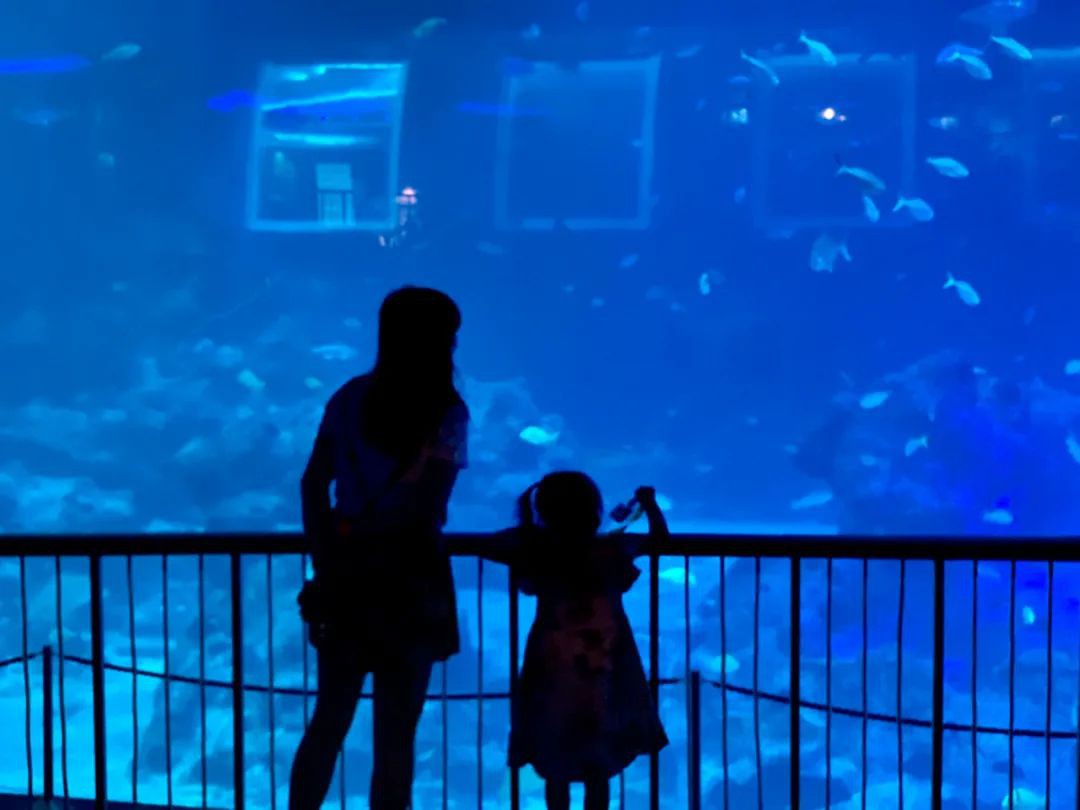 厲害了!他們居然將半個夏威夷搬來了新加坡!