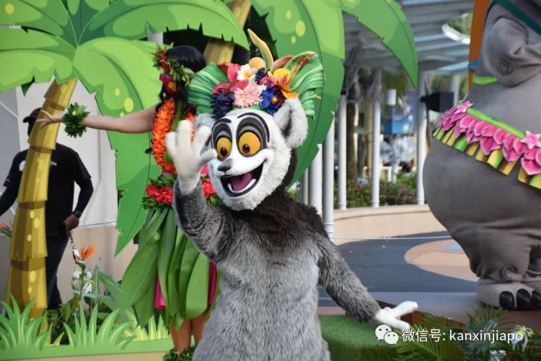 厲害了!他們居然將半個夏威夷搬來了新加坡!