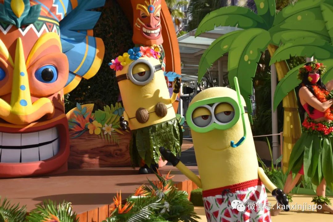 厲害了!他們居然將半個夏威夷搬來了新加坡!