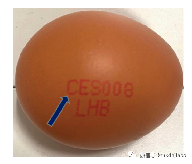 注意！新加坡售卖的这款鸡蛋含沙门氏菌，食品局紧急召回