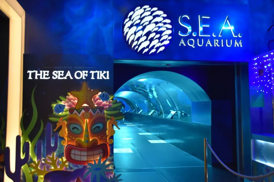 厲害了!他們居然將半個夏威夷搬來了新加坡!