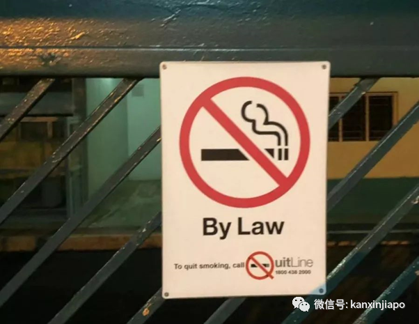 禁煙法令越來越嚴！新加坡有這些奇葩吸煙規則