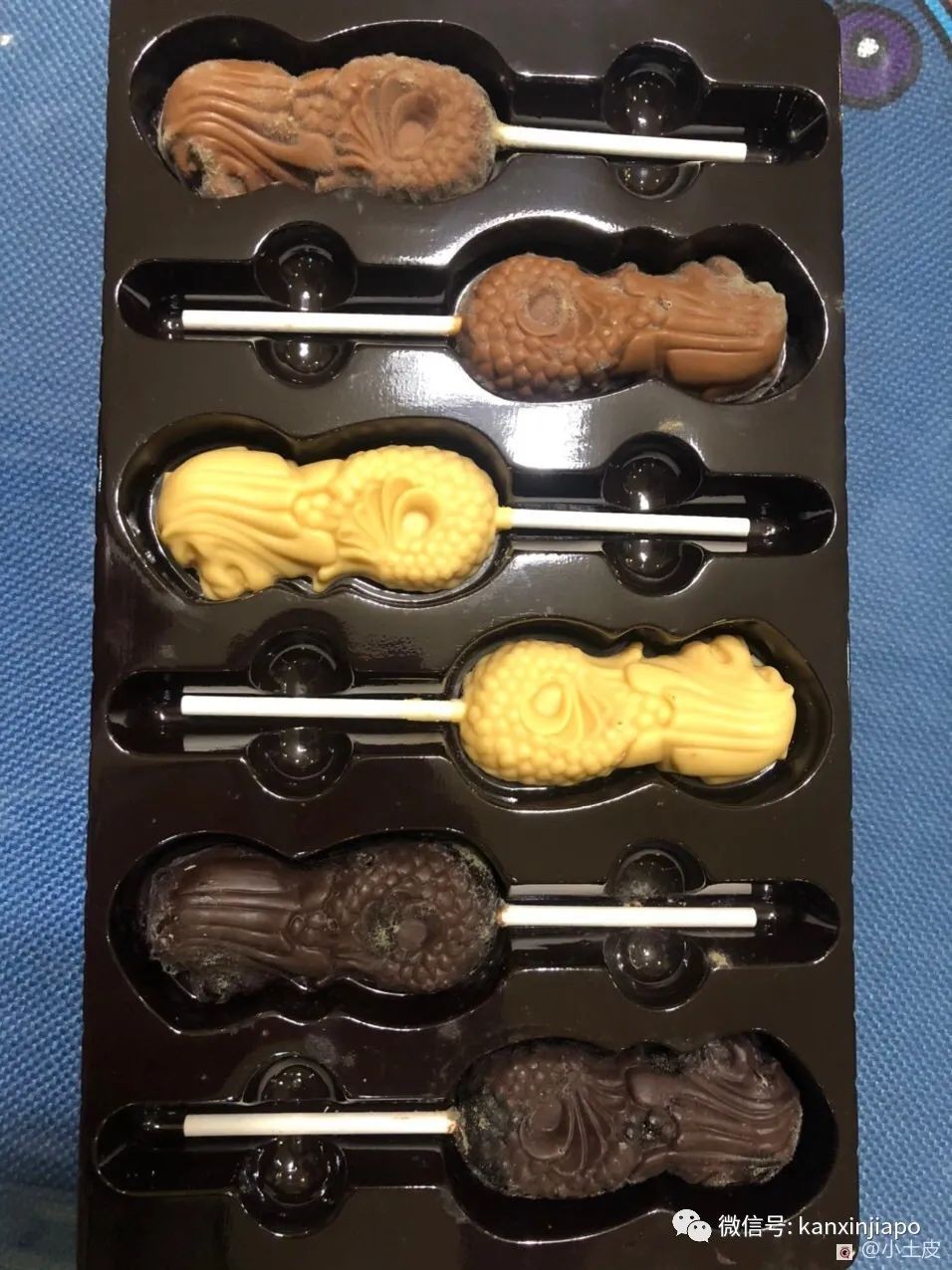 在裕華國貨買了一盒魚尾獅巧克力,回到家打開一看發黴了……